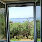 Lemon Tree House