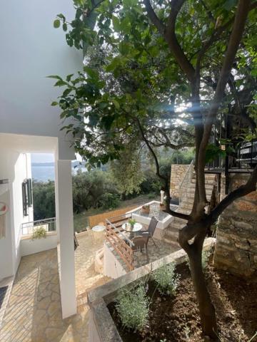Lemon Tree House *