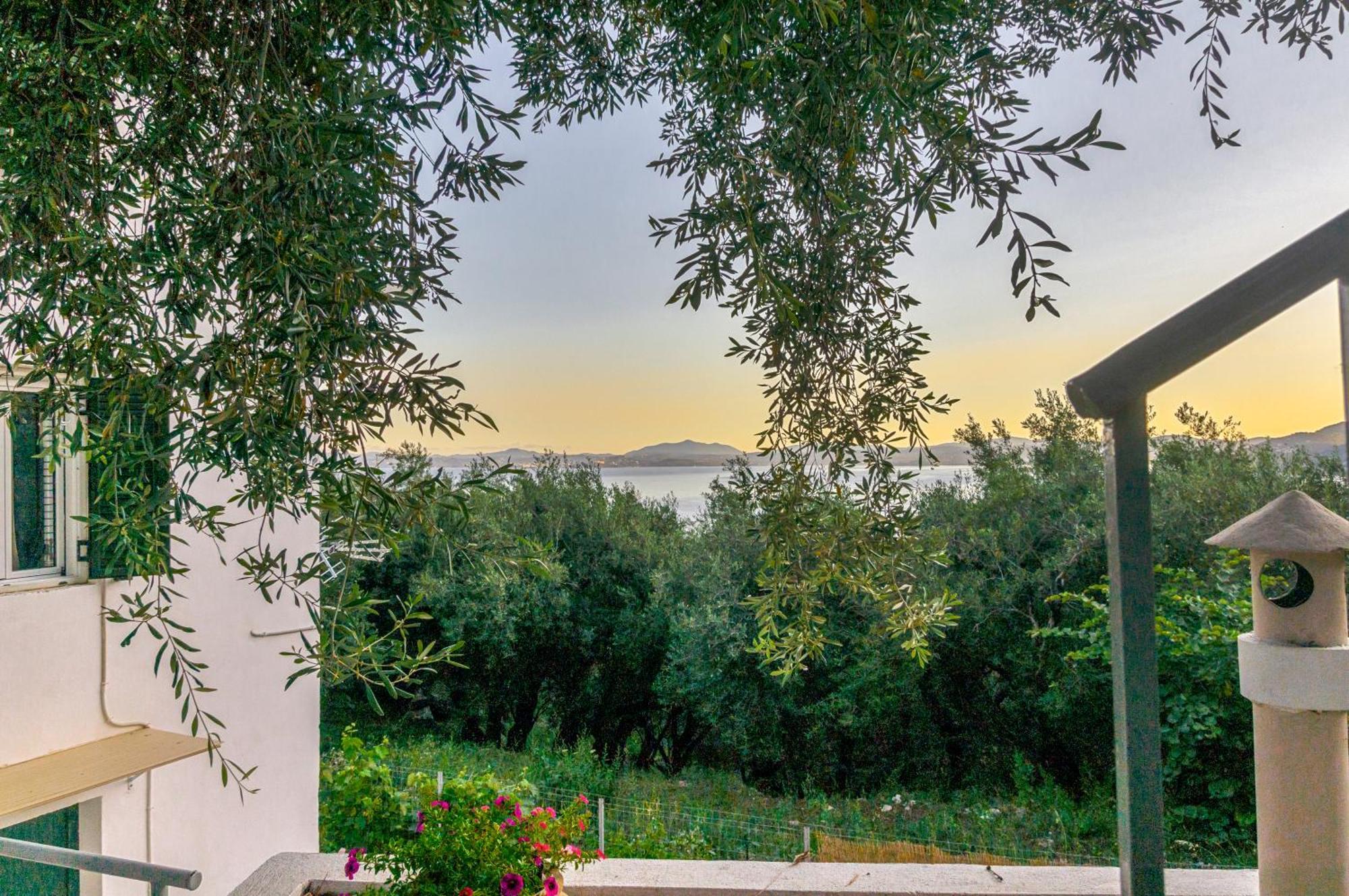 Lemon Tree House *